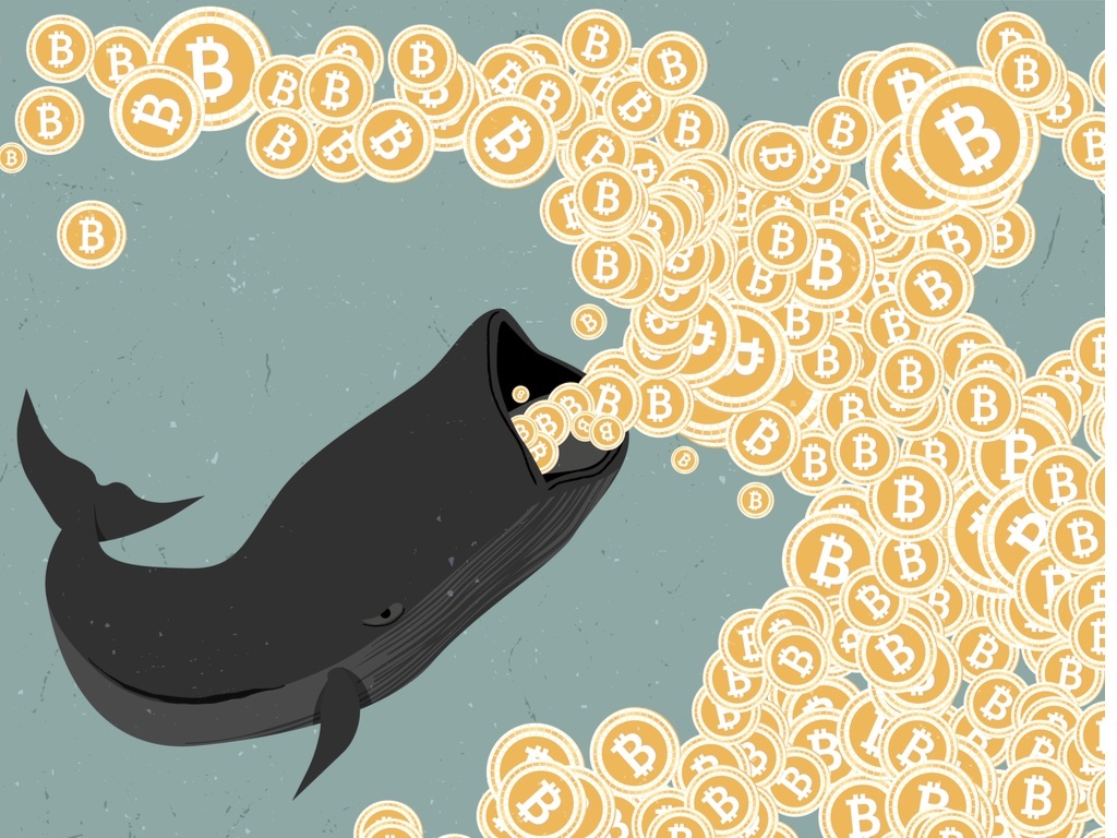 how to buy cryptocurrency like a whale